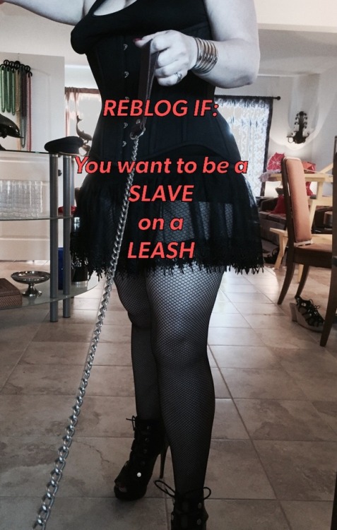 Porn Pics chastity-queen:  ALL SLAVES belong on a leash!