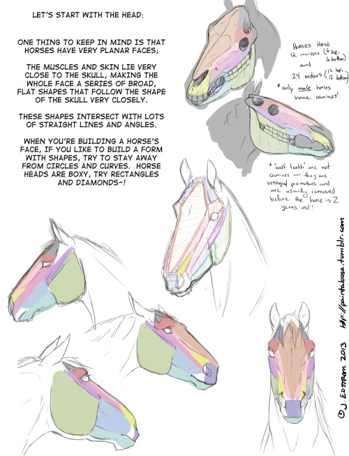 art-res:I haven’t drawn many horses, but this is an incredible resource! 