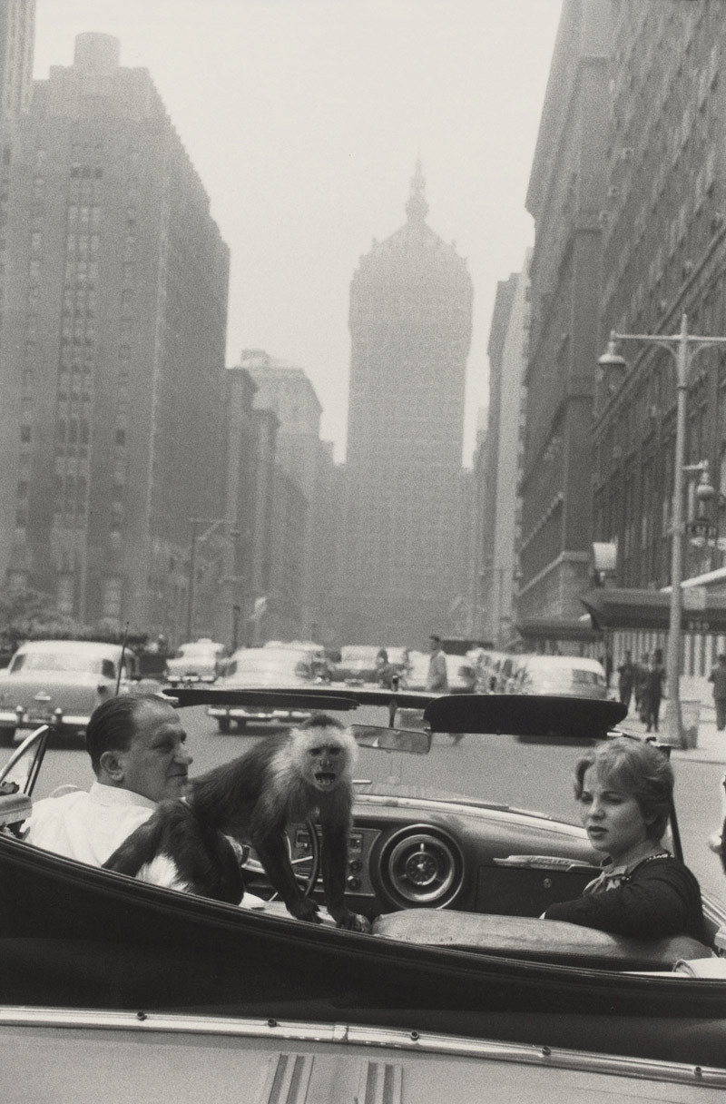 Garry Winogrand. Park Avenue, New York. 1959
Thanks to Art Blart