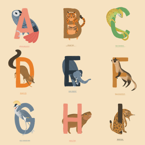 The full animal alphabet! ✨Which letters are your favourite? I really love the S, L, P, and N 