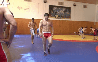 Non wrestling wrestlers