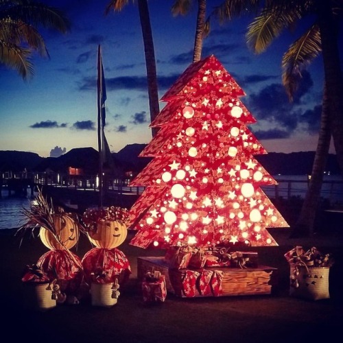 Happy Holidays!⭐️❤️⛄️❤️⭐️.#holidays #borabora #happyholidays #realmlife #realmtravel https://w
