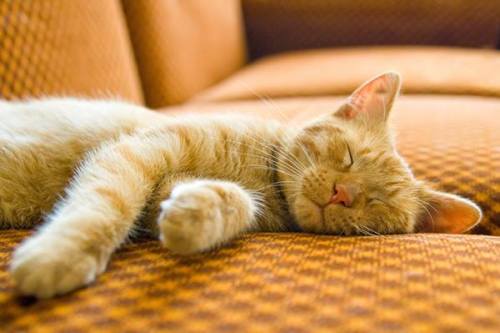 Sleepy sunshine baby!