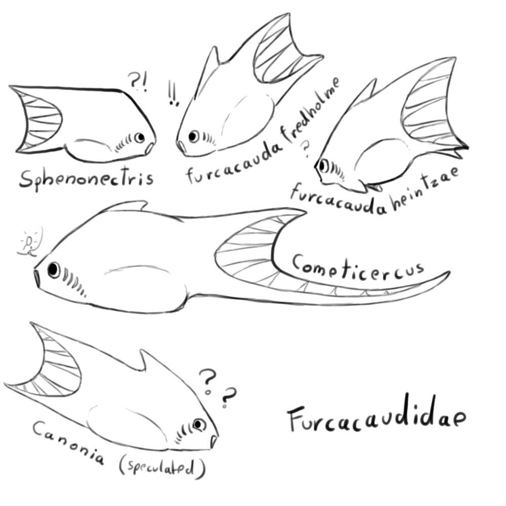 Today for fish friday, I would love to show you more of one of my favorite families of jawless fish. The Furcacaudidae.
Or: “The fish that look like your six year old nice drew them” Important elements of a fish are present ( aside from jaws ) yet...