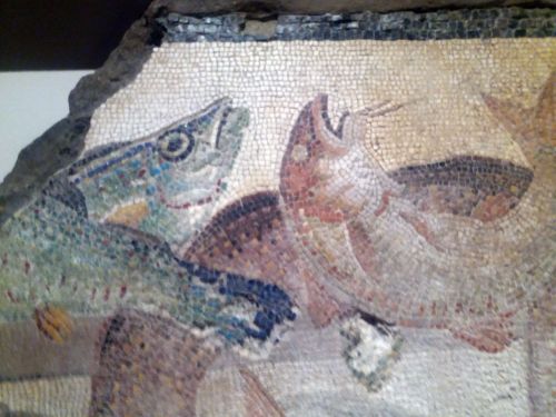 romegreeceart:Floor mosaic from Isola Sacra Necropolis, Ostia* 2nd centyry CE* Ostia Antiquarium* Ex