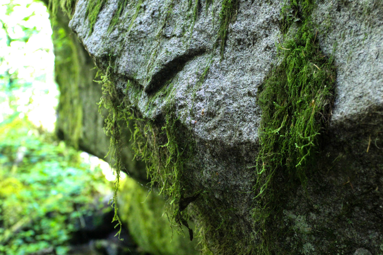 tightlipscoldfeet:  textures