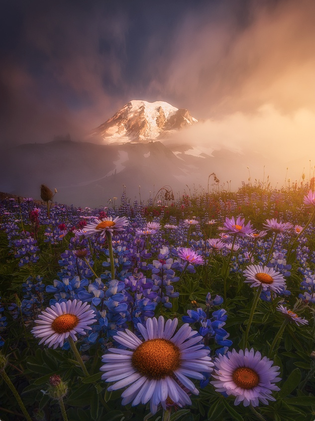 nubbsgalore:  photos by ryan dyar from the pacific northwest, who notes that the