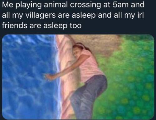 animalcrossingmemes: what u mean irl friends i dont have that 