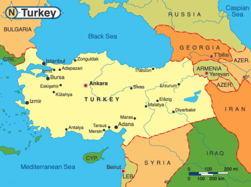 peashooter85:Turkey and turkey —- How the bird got its name.Believe it or not as a historian I have 