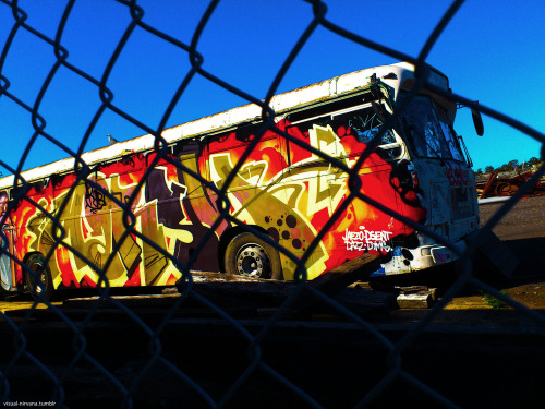 laurenmossphotography:  Ironlak Bus.