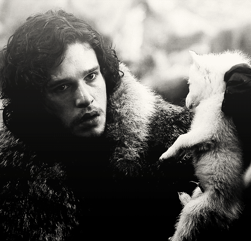 jaime-lannisterr:  When you play a Game of Thrones you win or you die 