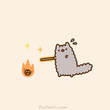 laughingsquid:  Cat Wizards