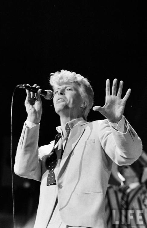 David Bowie(Ann Clifford? 1983)