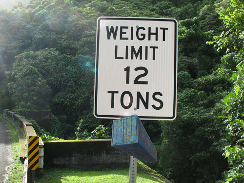 1000containers:  MAUU1811151, Hana Hwy, Maui, HI