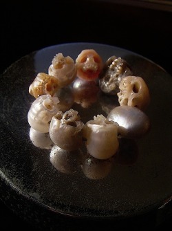 Shinji Nakaba (2012) - Hand-carved pearl I&rsquo;m in awe. Pearls and art, some of my favourite things in the world.