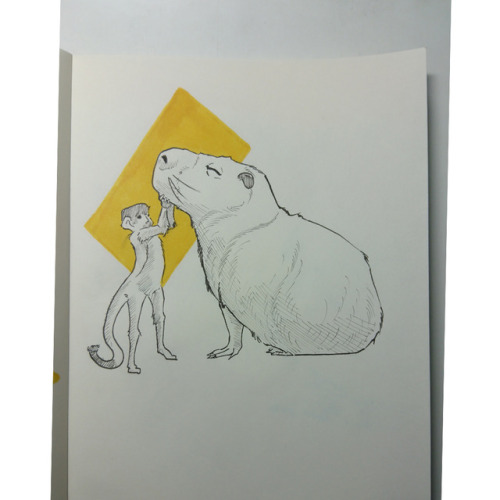 I drew some capybaras for fun, they are ambasadors of chill, you can&rsquo;t not love them!