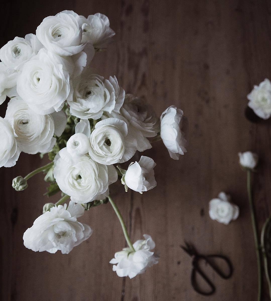 grace&ndash;upon&ndash;grace:  Noora @sillmarilli