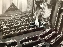 Grupaok: Suzan Pitt Working On The Miniature Theater Set, With An Audience Of Clay