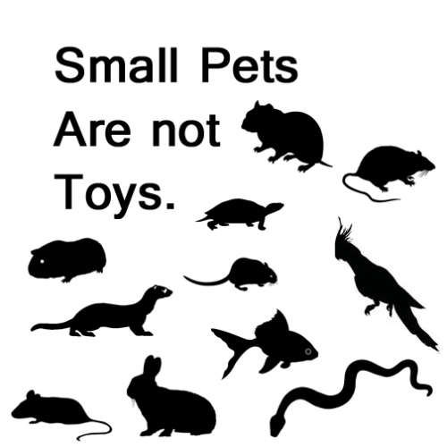 be-their-sound:  carnalsnail:  Small Pets Are Not Toys Never buy an animal on impulse. You are toying with life. Store bought cages are very, very rarely large enough for your pet Never give a small pet to a child as a gift. Never leave a small child