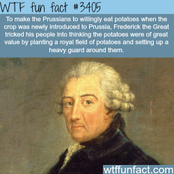 wtf-fun-factss:  Frederick the Great - 