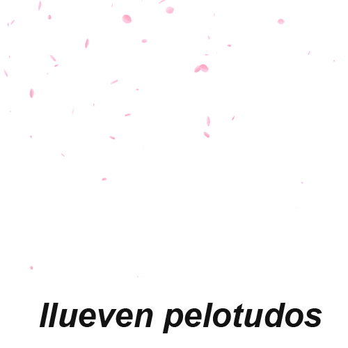 La volá es ser feliz'!