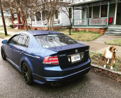 #boxerdog #boxerdogsofinstagram #boxerdogsrule #acuratl #acuracrewnation #acuratltypes #acuratl_types #acuracrewnationva #acuratltypes6speed #acura_crew_nation #acura_type_s #acura_tl_type_s #acura_tl_types  (at Park View Historic District)