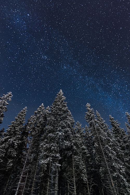 brutalgeneration:  Moonlit by Latyrx       