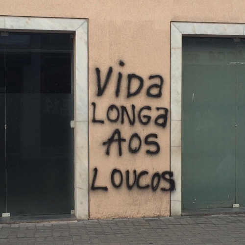 coebrisei:  uma dose de loucura não faz mal