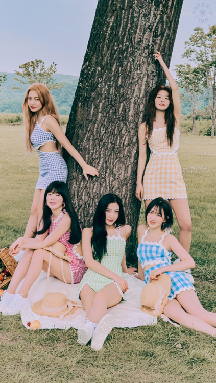『RED VELVET』saved? reblog or like© scans owners