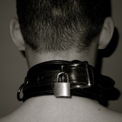 mastera6:  A collar is the simplest way to