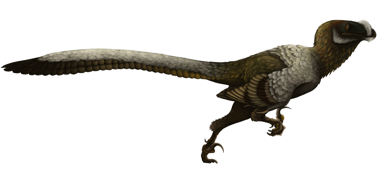 The Climbing, Flying Babies of Deinonychus - Scientific American Blog  Network