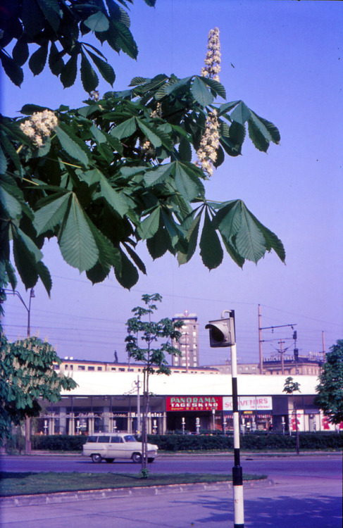 Eine Reise zurück in die 1960er zum “Panorama Tageskino” am Praterstern (Sammlung Werner