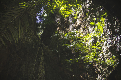 inthemomenttraveling:  Jungle Ride!!!