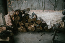 thursdays-at-the-coffeeshop:cabin by Beth Kirby | {local milk} on Flickr.