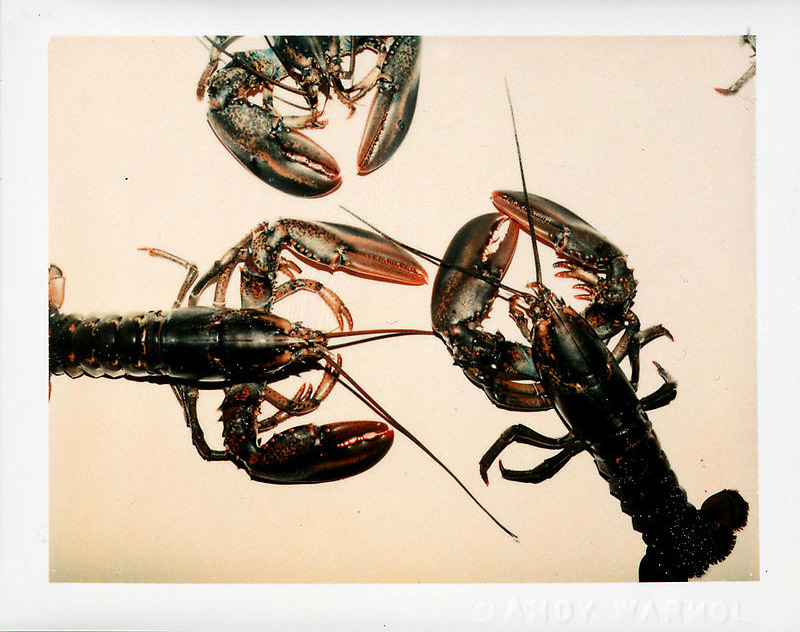 likeafieldmouse:  Andy Warhol - Still-life Polaroids (1977-83) “Warhol used photography