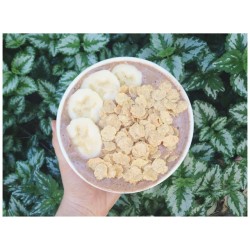 {cacao banana smoothie bowl made with coconut water and topped with banana and organic cornflakes} 🌸👌