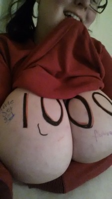 littlejetgirl:  Little piggy is so very proud of getting 1,000 followers!  Ready for Devotional Training.