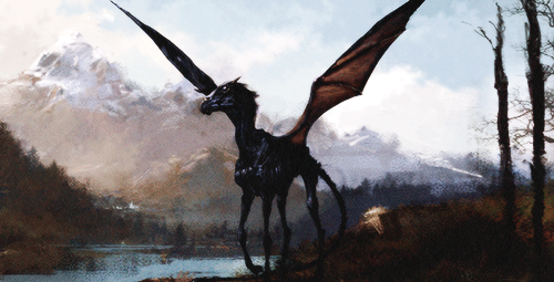knockturnallley:Harry Potter and the Prisoner of Azkaban Thestral concept art by Rob BlissEven thoug