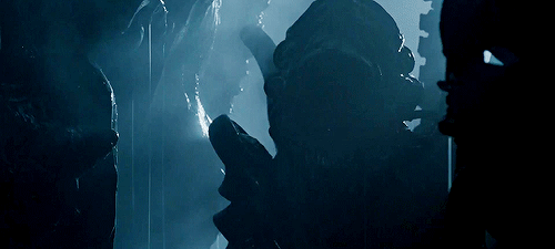 madfilmstudent:We’d better get back, cause it’ll be dark soon, and they mostly come at night… mostly