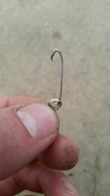 purebushcraft:  Made myself an improvised hook out of an old safety pin. I then dug around for a worm to bait it and caught myself a fish. Very productive 45 minutes :-).