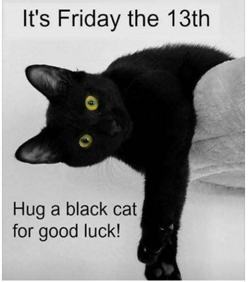 #fridaythe13th #cats #catsofinstagram #blackcats #blackcatsofinstagram #goodluck #badluck #superstit