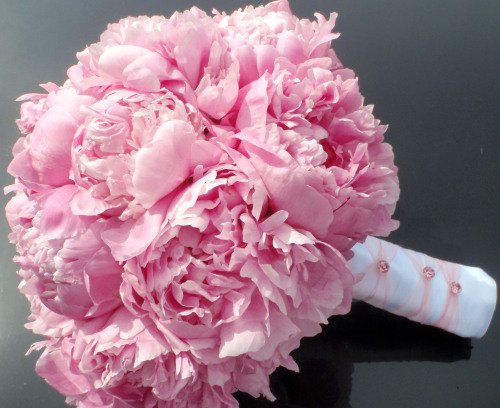 Peony Season is Arriving! Peonies are gorgeous full flowers that come in a variety of colors. The pe