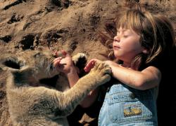 effervescentvibes:  history-inpictures:6-year-old Tippi Degre soaking up the sun with her pet lion cub, 1996  This is the absolutely adorable  ☾ good vibes here ॐ