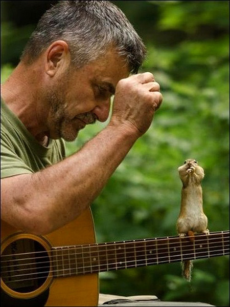 ambient-entropy:  Blues harpist Johnny Squirrels is seen jammin with Eddie ‘One