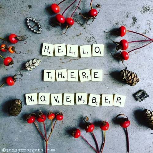Yes, hello November! Flat lay by @tamsynmorgans #hello #hellonovember #november