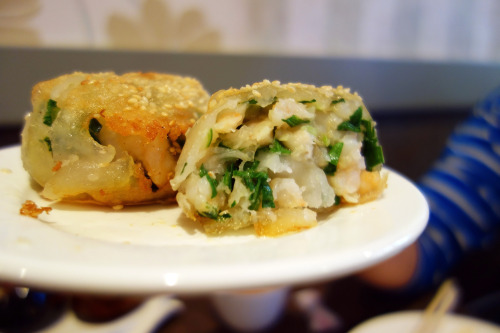 Pan fried shrimp dumpling, dim sum. By ysyphotos