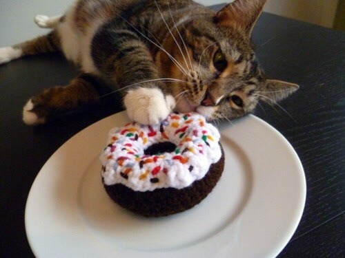 Time for a donut :) #reviews