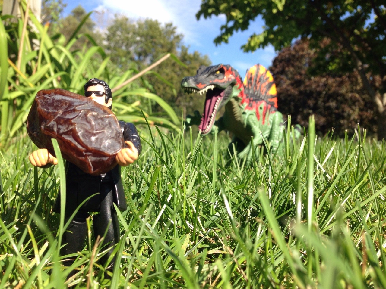 jeffgoldblumdoesstuff:  Jeff Goldblum saves the date. 