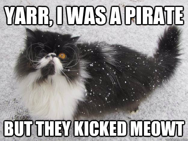 pleatedjeans:  Best of the Pirate Cat Meme (18 Pics)