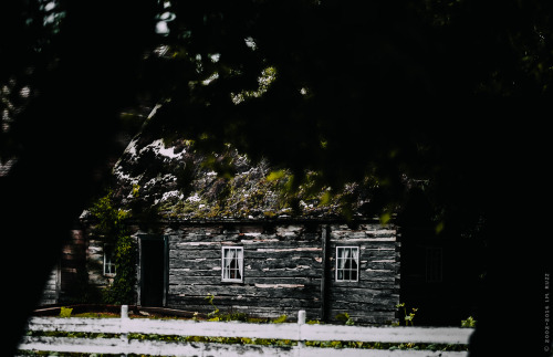 Mennonite Heritage Village 12 June 2016Steinback, Manitobasomewhat unexpectedly the highlight of man